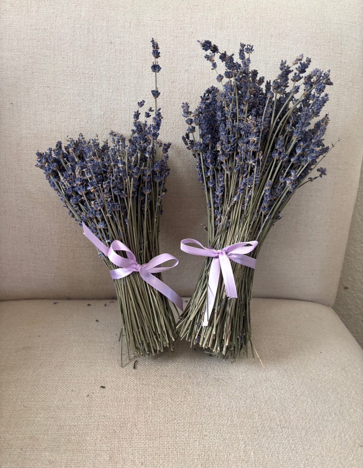 Hidecote Lavender Bundles